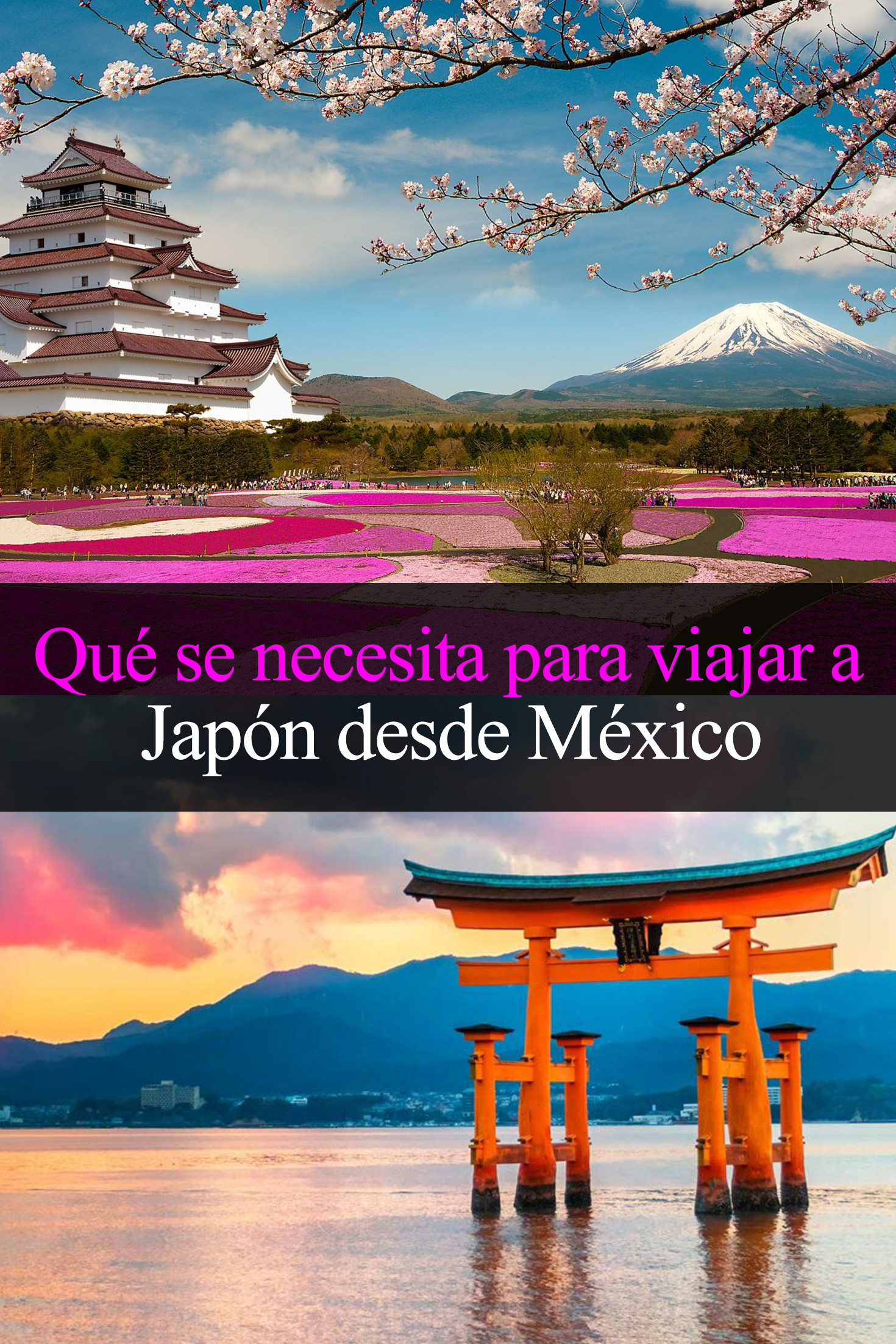 Requisitos para viajar a Japón desde México