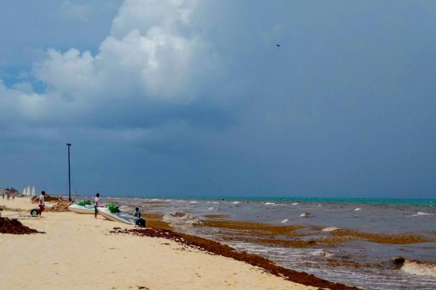 Sargazo en Cancún: por qué llega y en qué temporada hay más