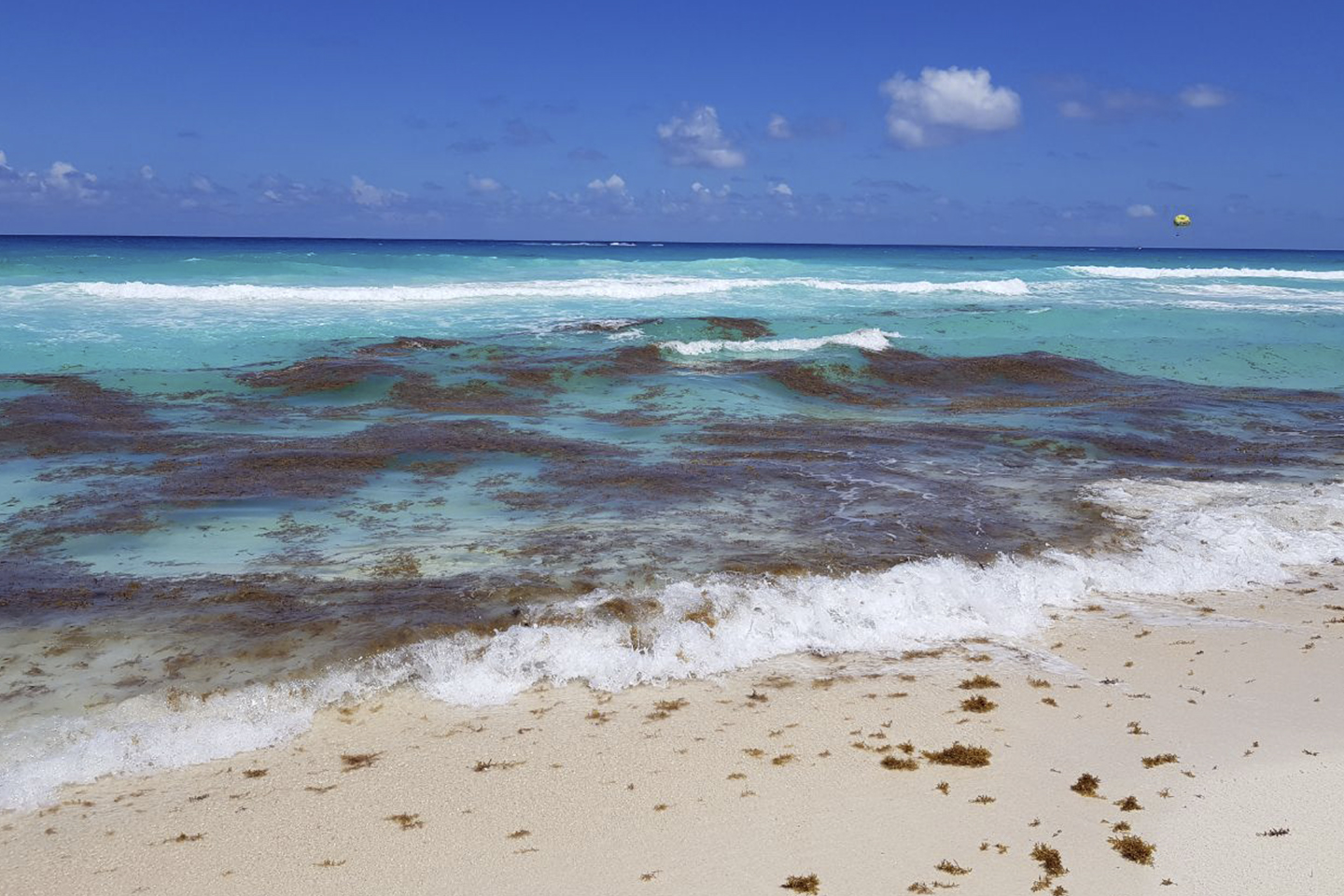Playa Delfines, Cancún: todo lo que ocupas saber