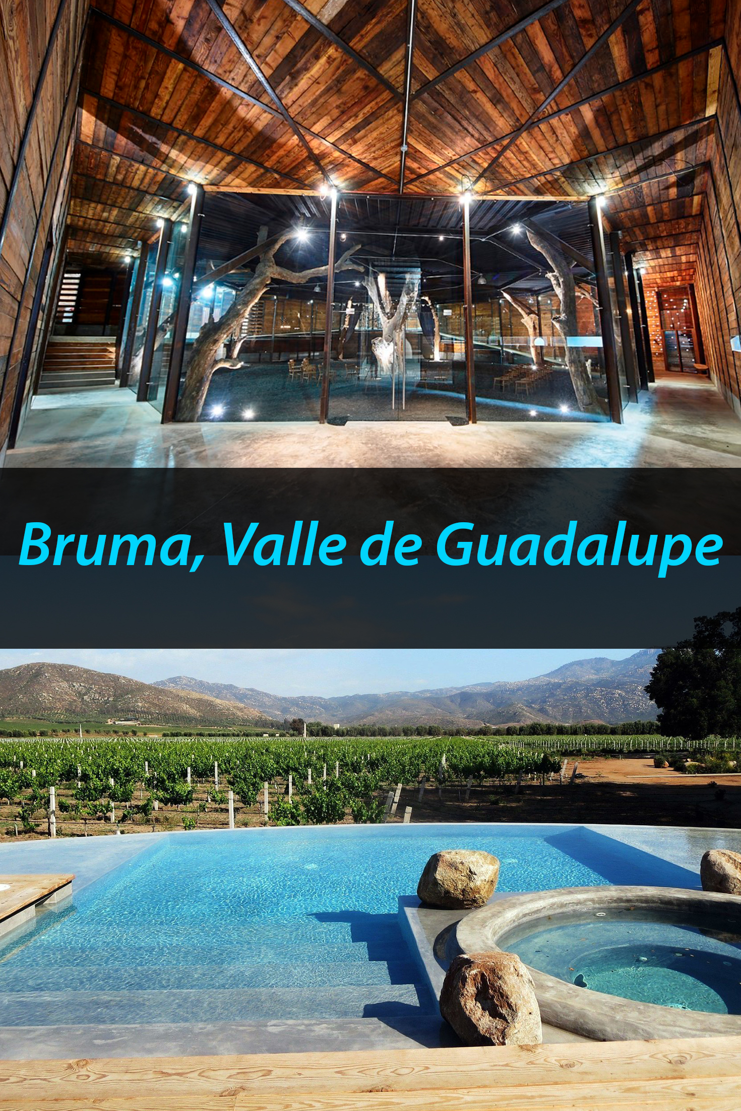 Bruma, Valle de Guadalupe: todo lo que debes saber