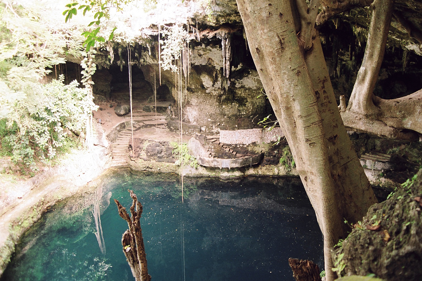 Los 11 Mejores Cenotes En Yucatán Que Deberías Conocer
