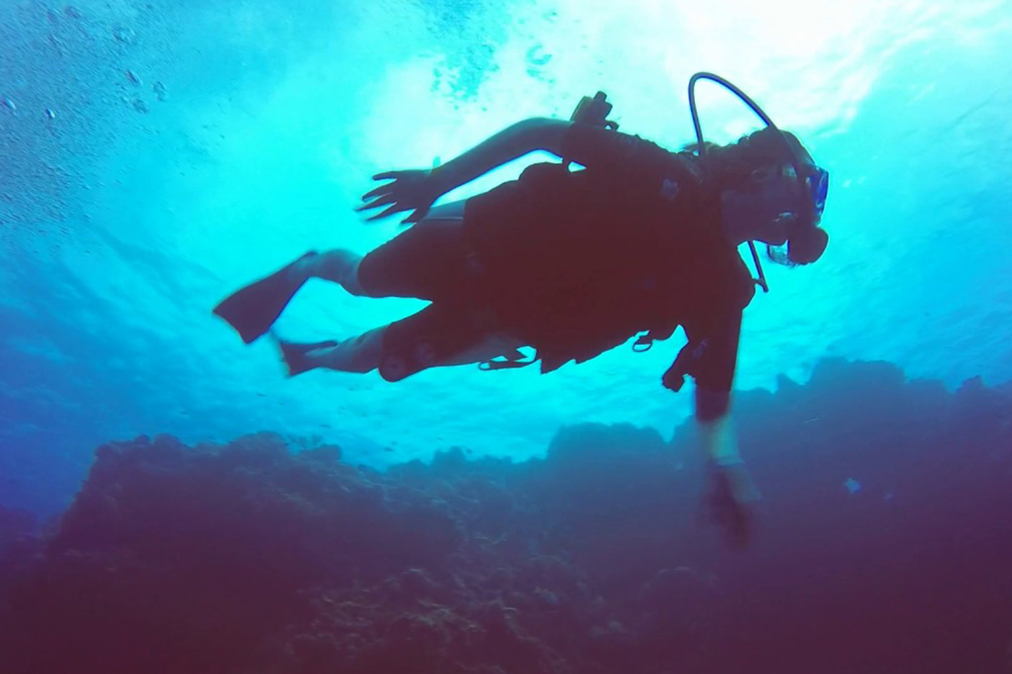 Los 10 mejores lugares para hacer snorkel y buceo en Cozumel