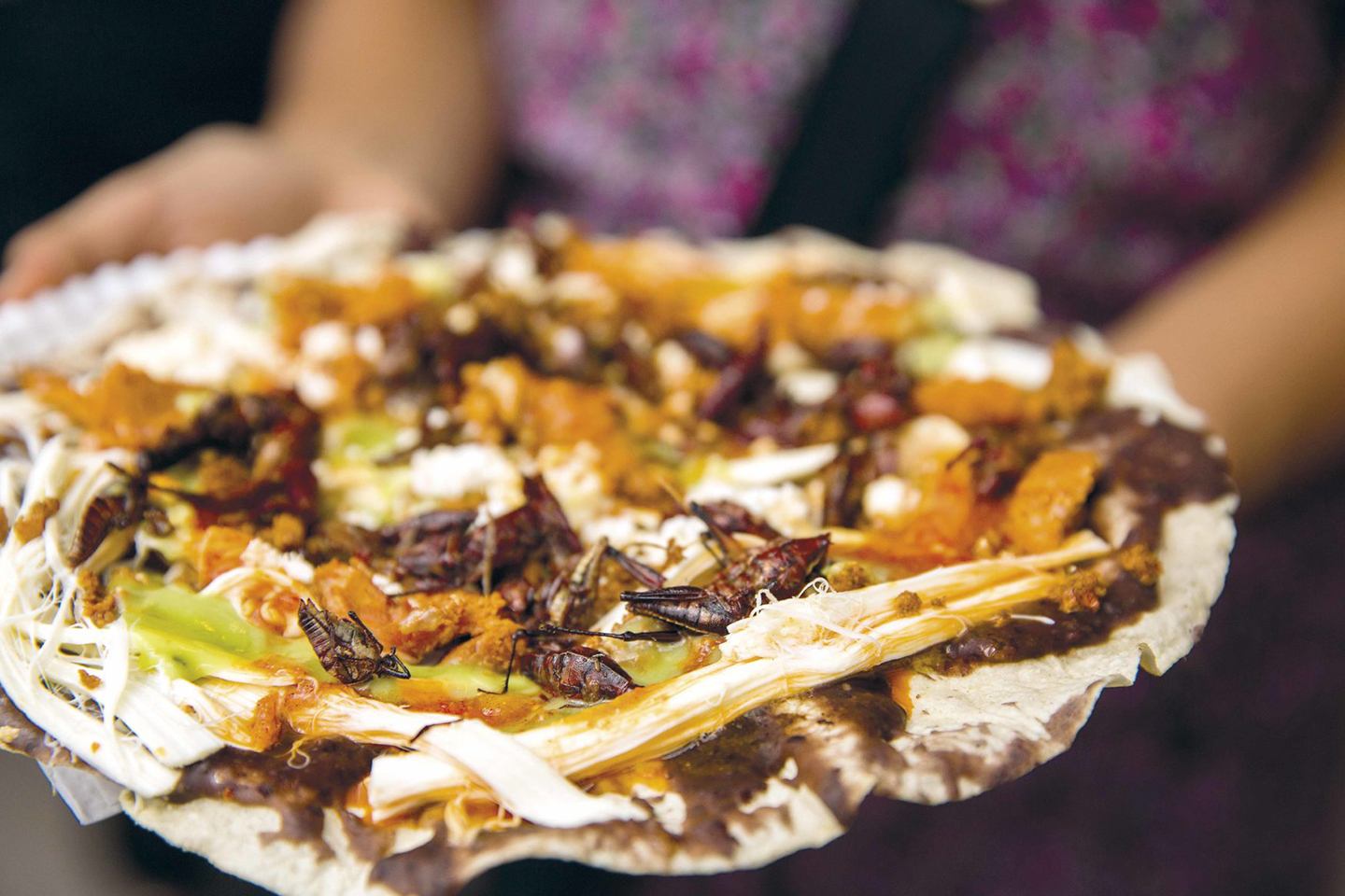 Las 12 mejores comidas de la gastronomía de Oaxaca