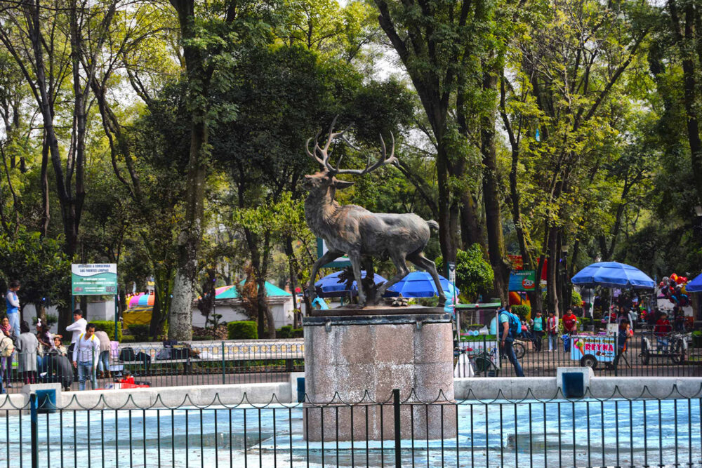 Los 12 mejores parques recreativos en el Estado de México